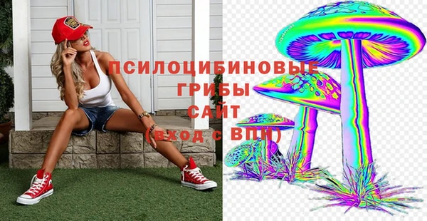 стаф Покров